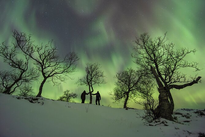 Aurora Borealis over a snowy landscape
