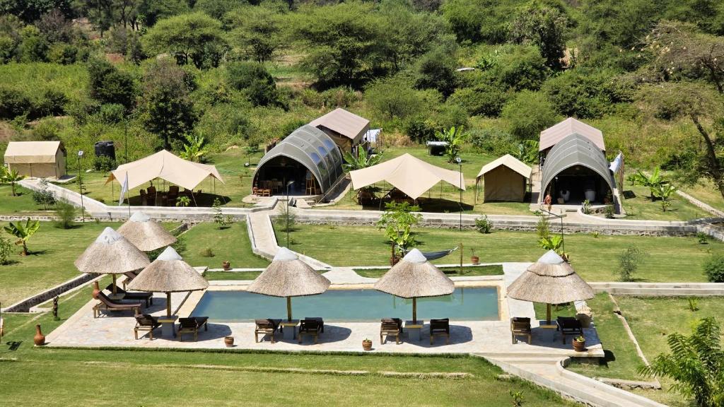 Wild animals on a safari in Kenya