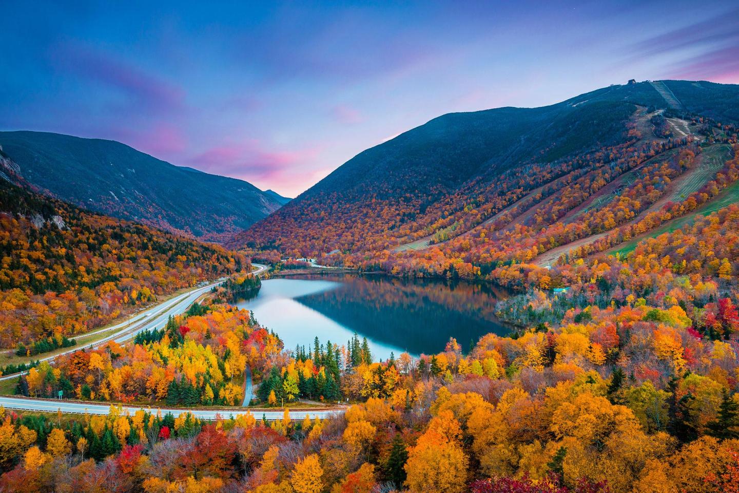 Autumn leaves in New England